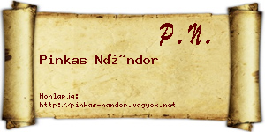 Pinkas Nándor névjegykártya